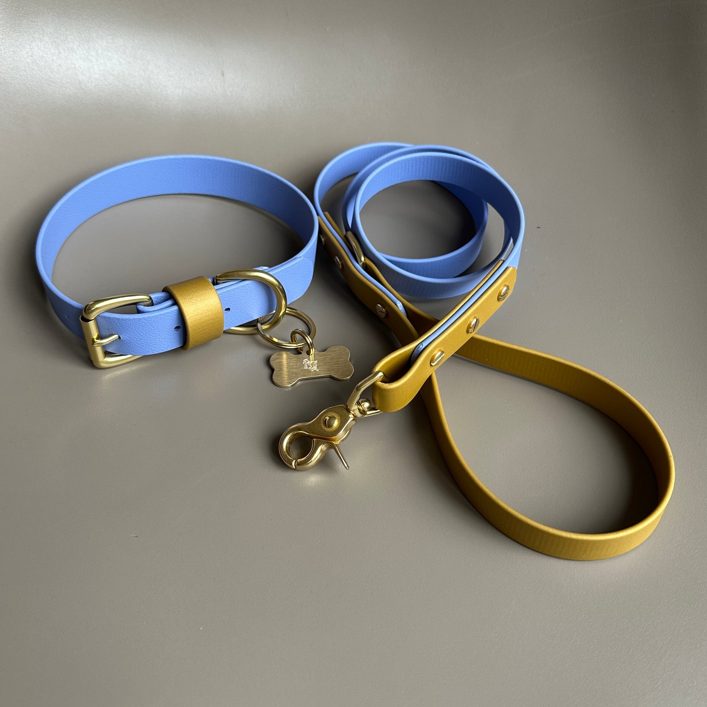 Atlas Colourblock BioThane® Collar