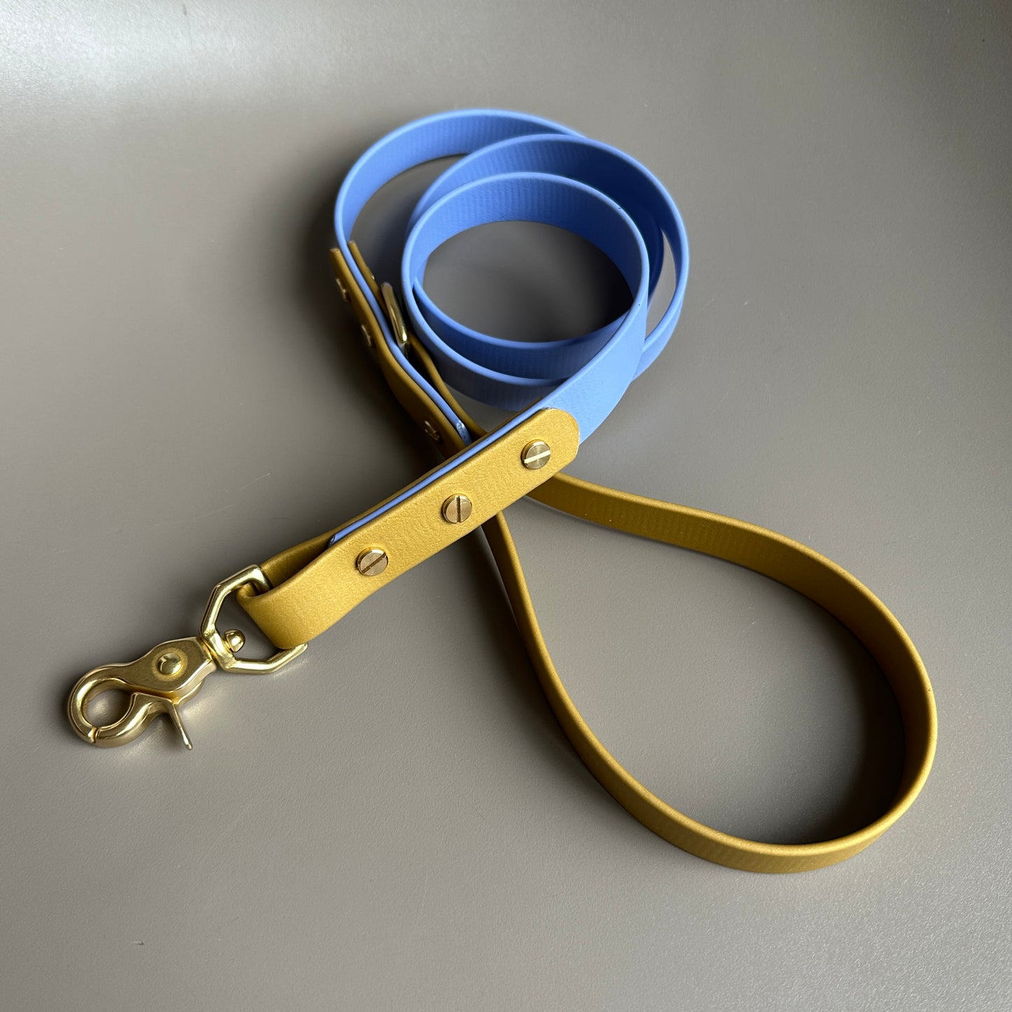 Atlas Colourblock BioThane® Lead