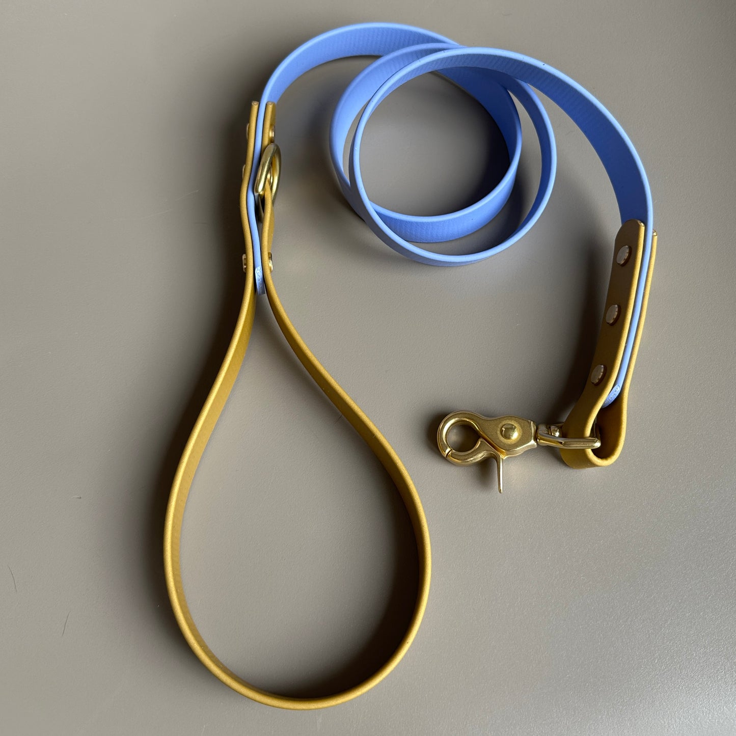 Atlas Colourblock BioThane® Lead