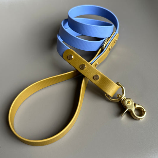 Atlas Colourblock BioThane® Lead