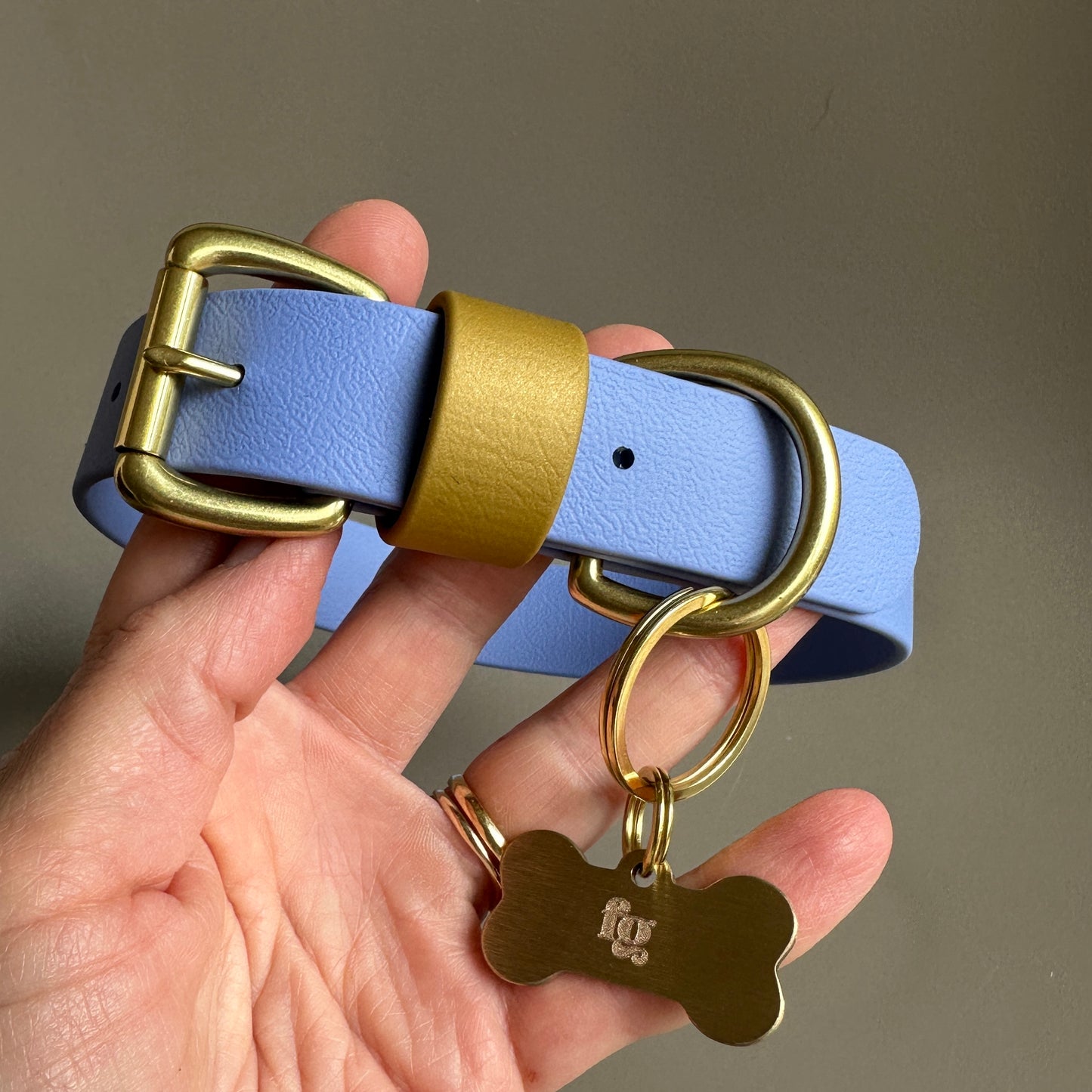 Atlas Colourblock BioThane® Collar