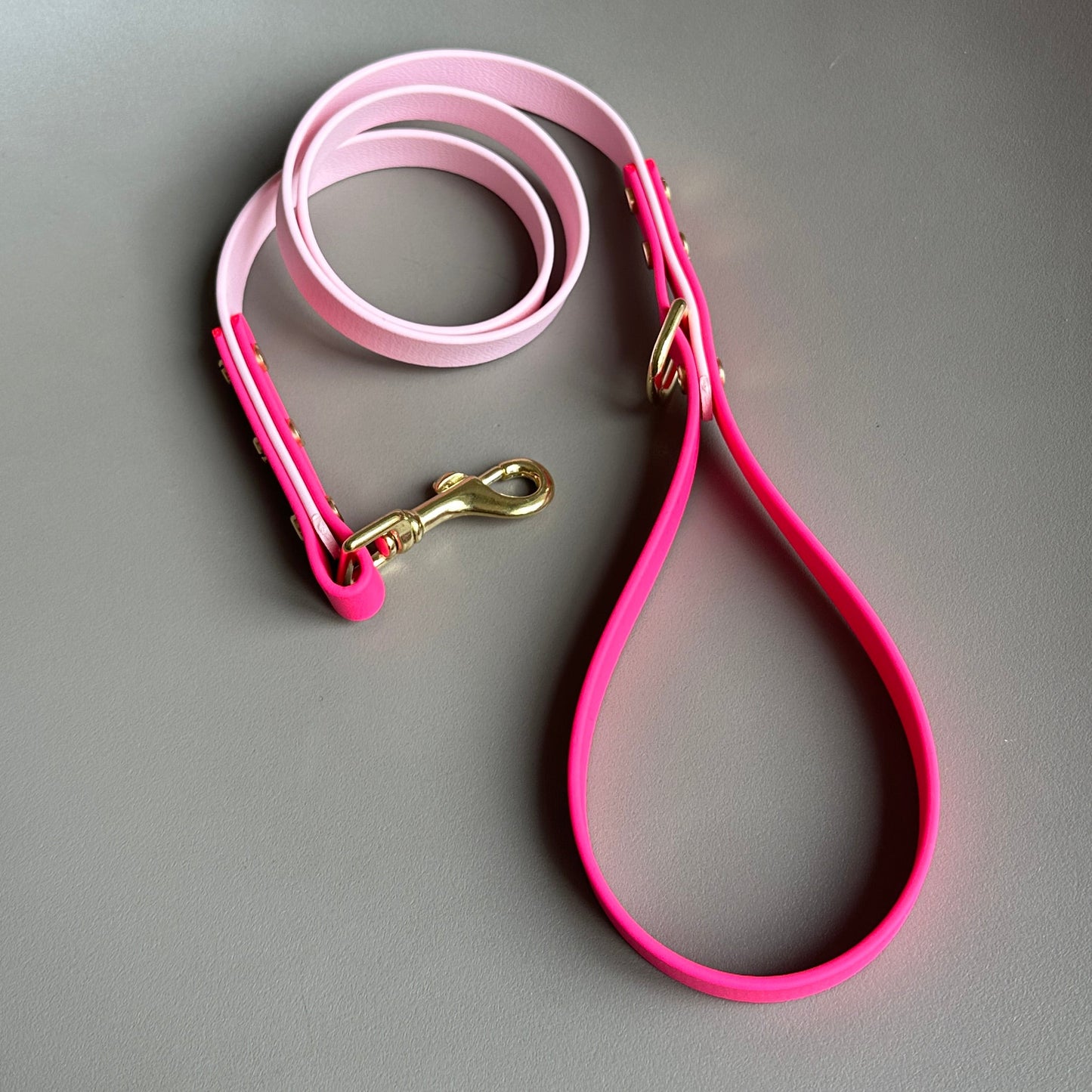 Edie Colourblock BioThane® Lead