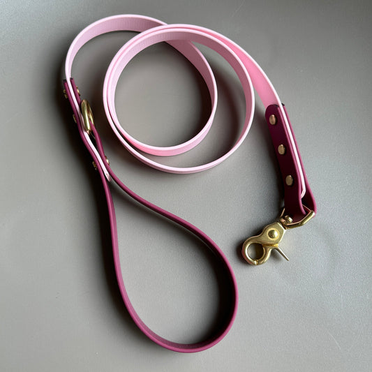 Mellie Berry Colourblock BioThane® Lead