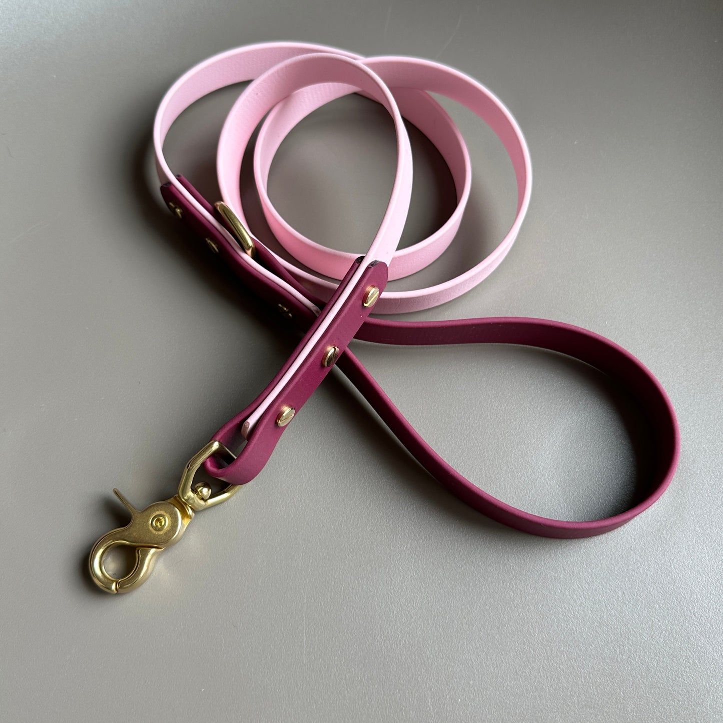 Mellie Berry Colourblock BioThane® Lead