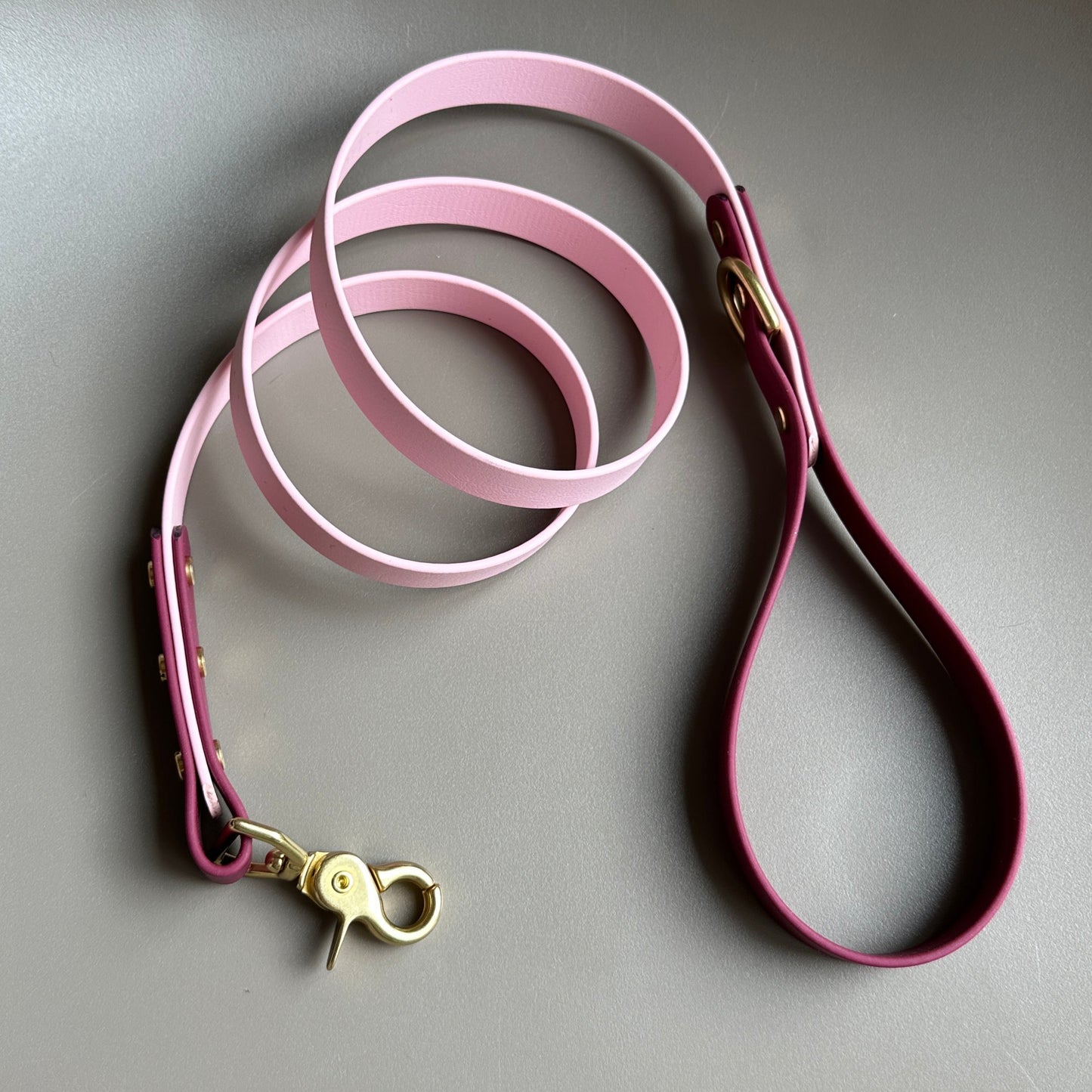 Mellie Berry Colourblock BioThane® Lead