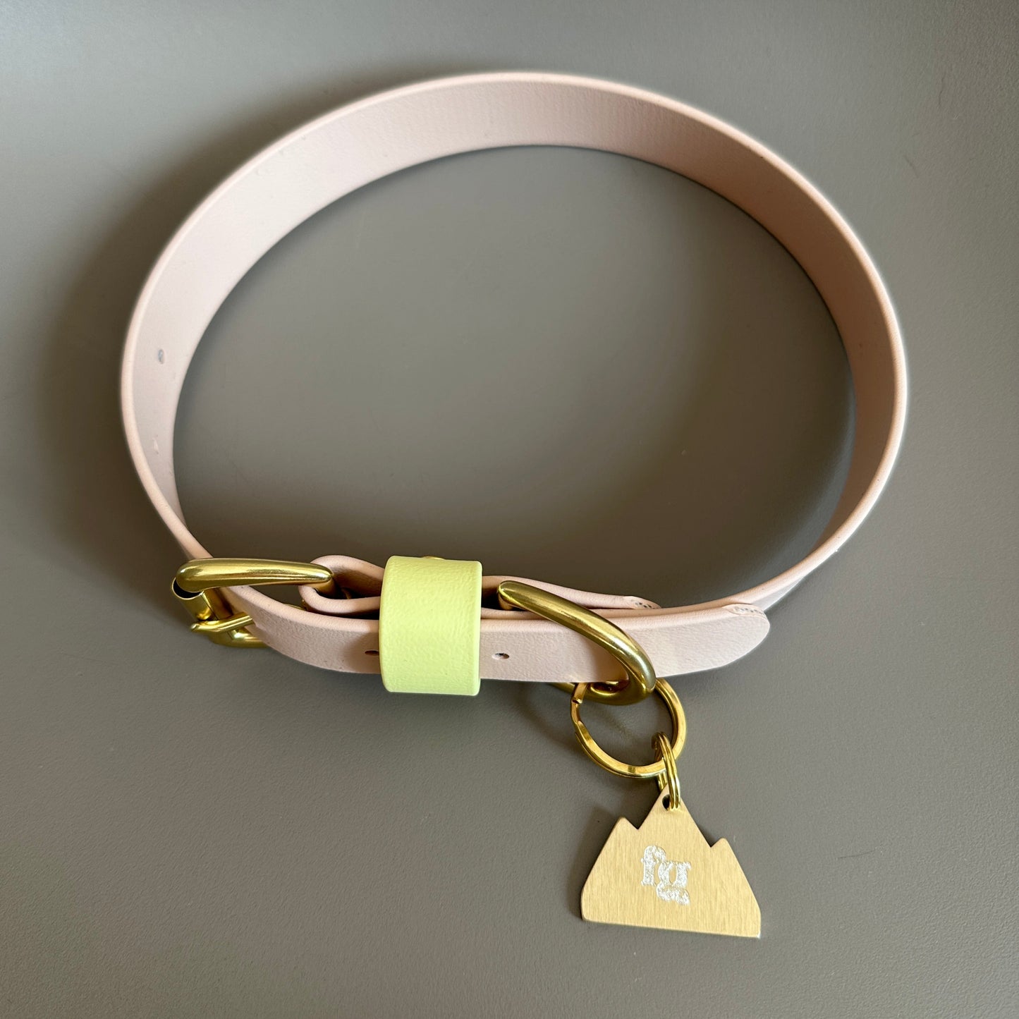 Gerald Colourblock BioThane® Collar