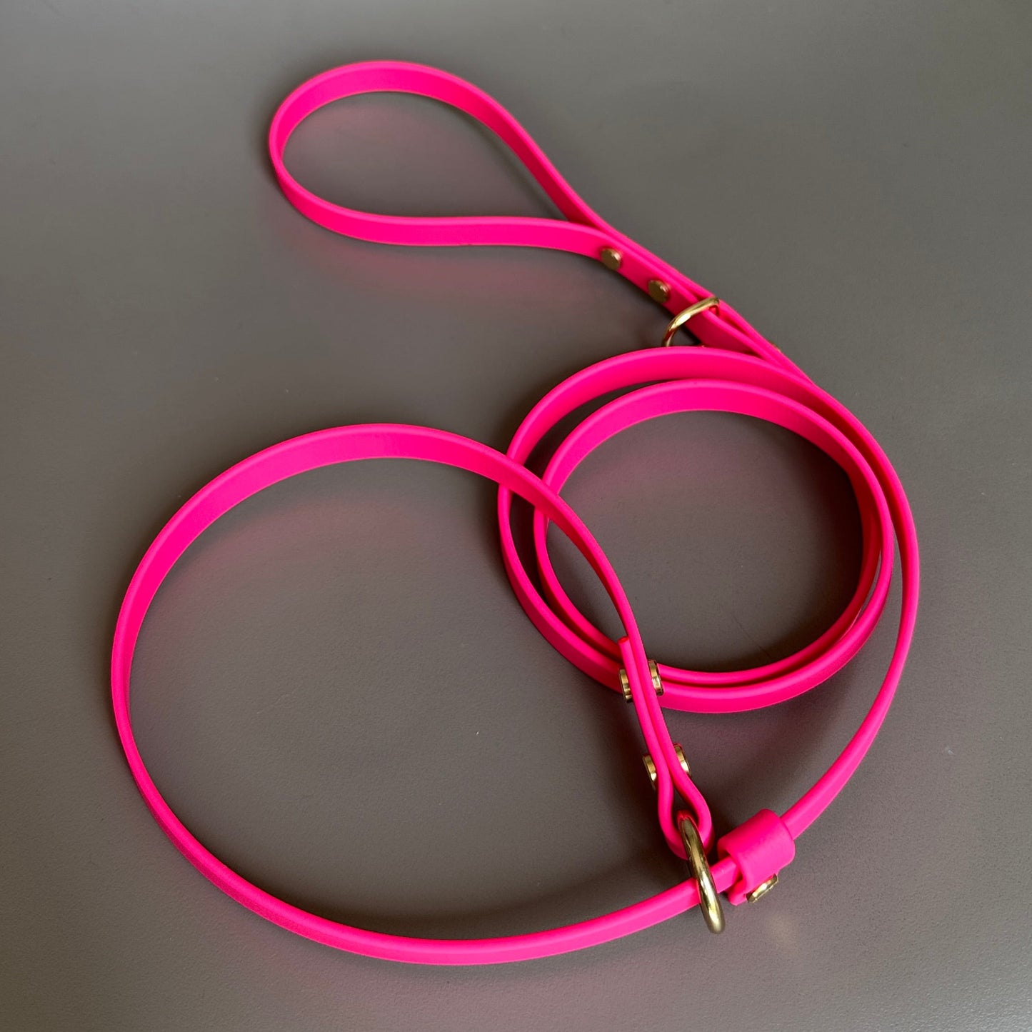 BioThane® 12mm Slip Lead