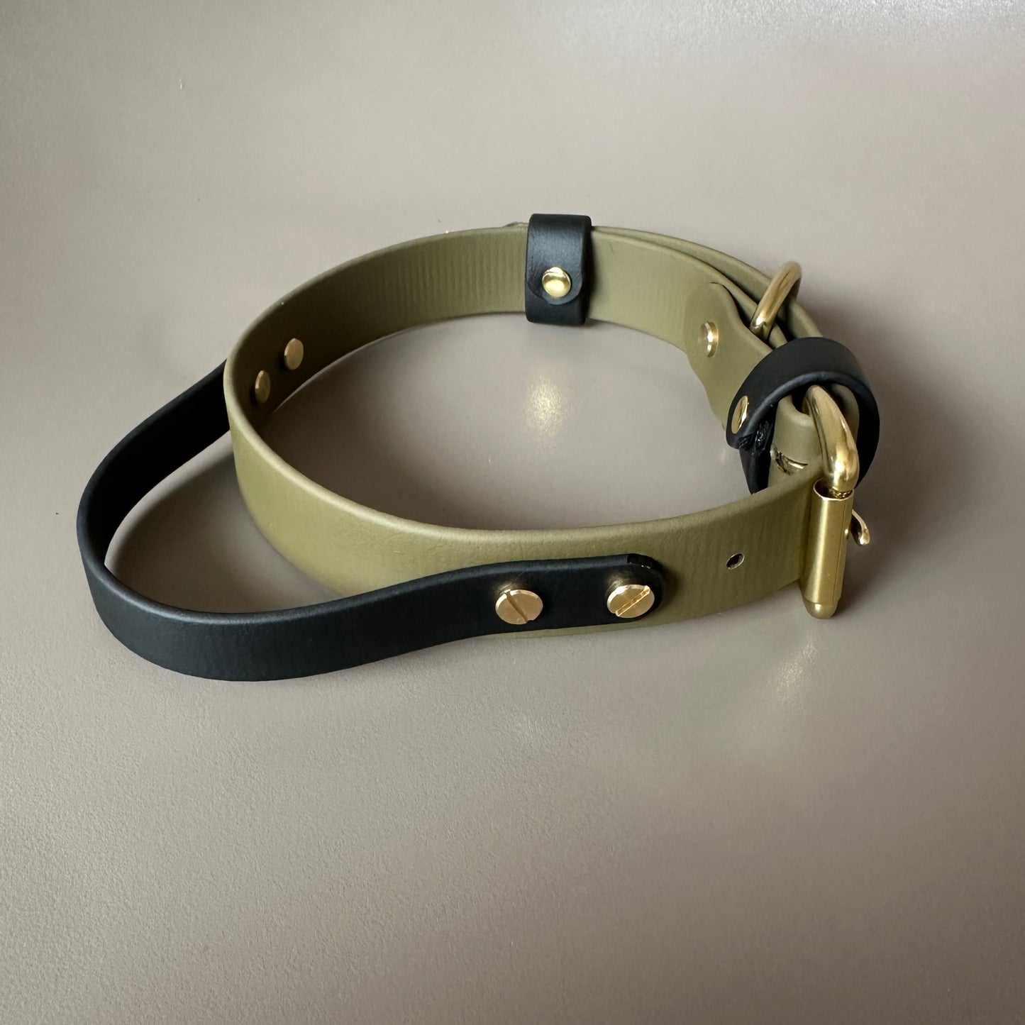BioThane® Grab Handle Collar