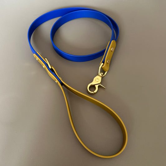 He's Electric Colourblock BioThane® Lead