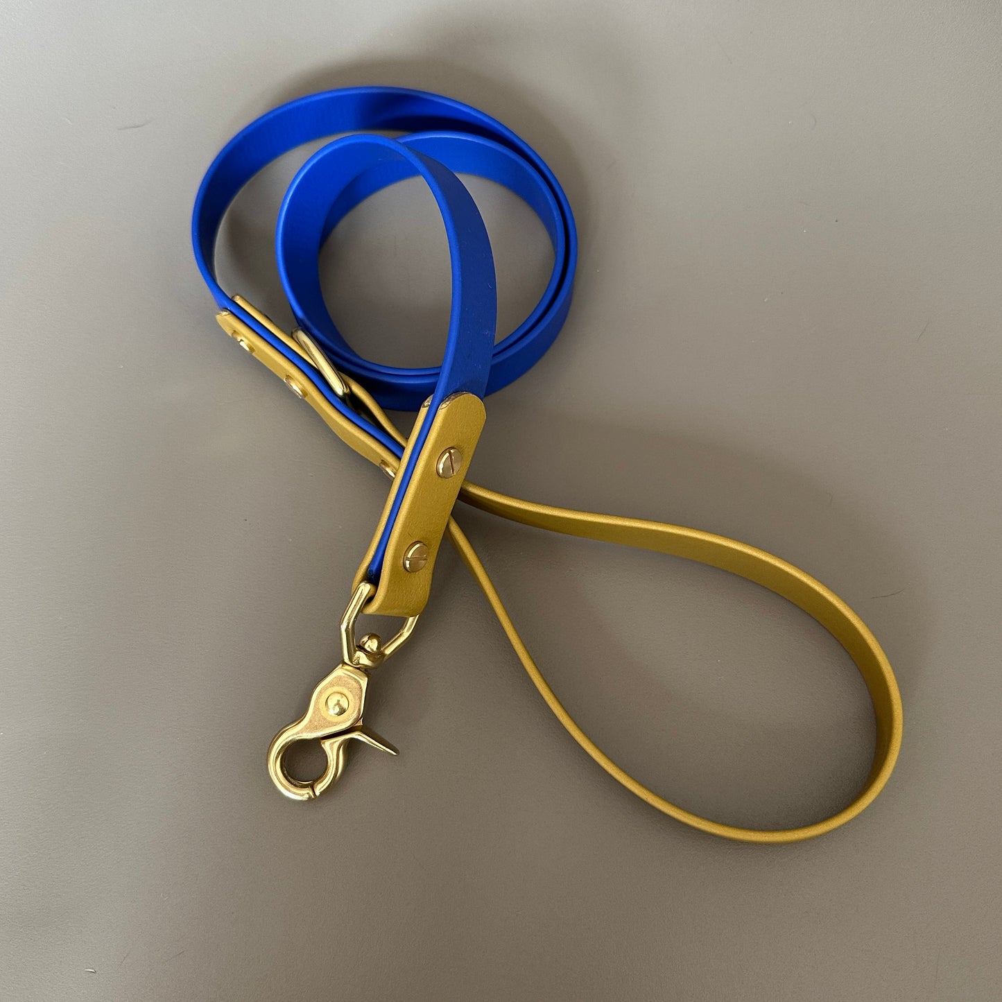 He's Electric Colourblock BioThane® Lead