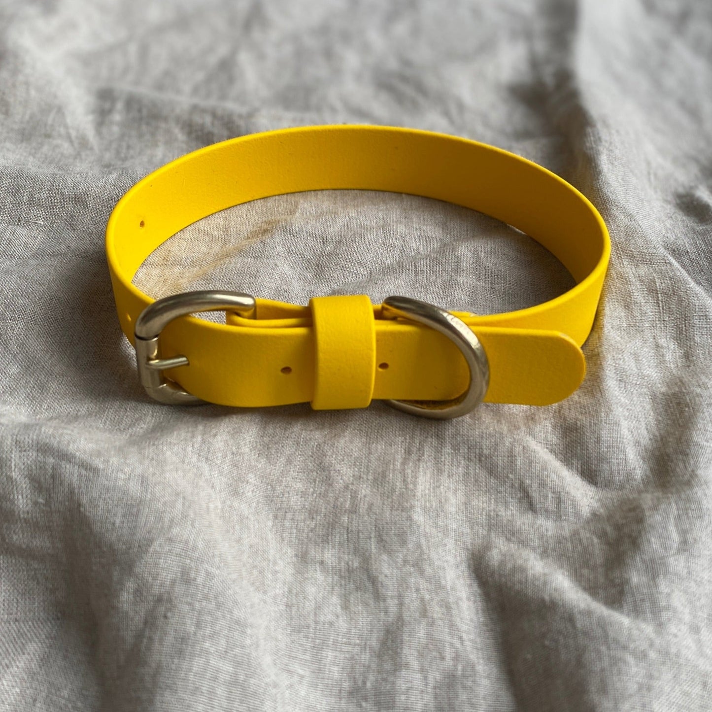 Sunflower BioThane® Collar