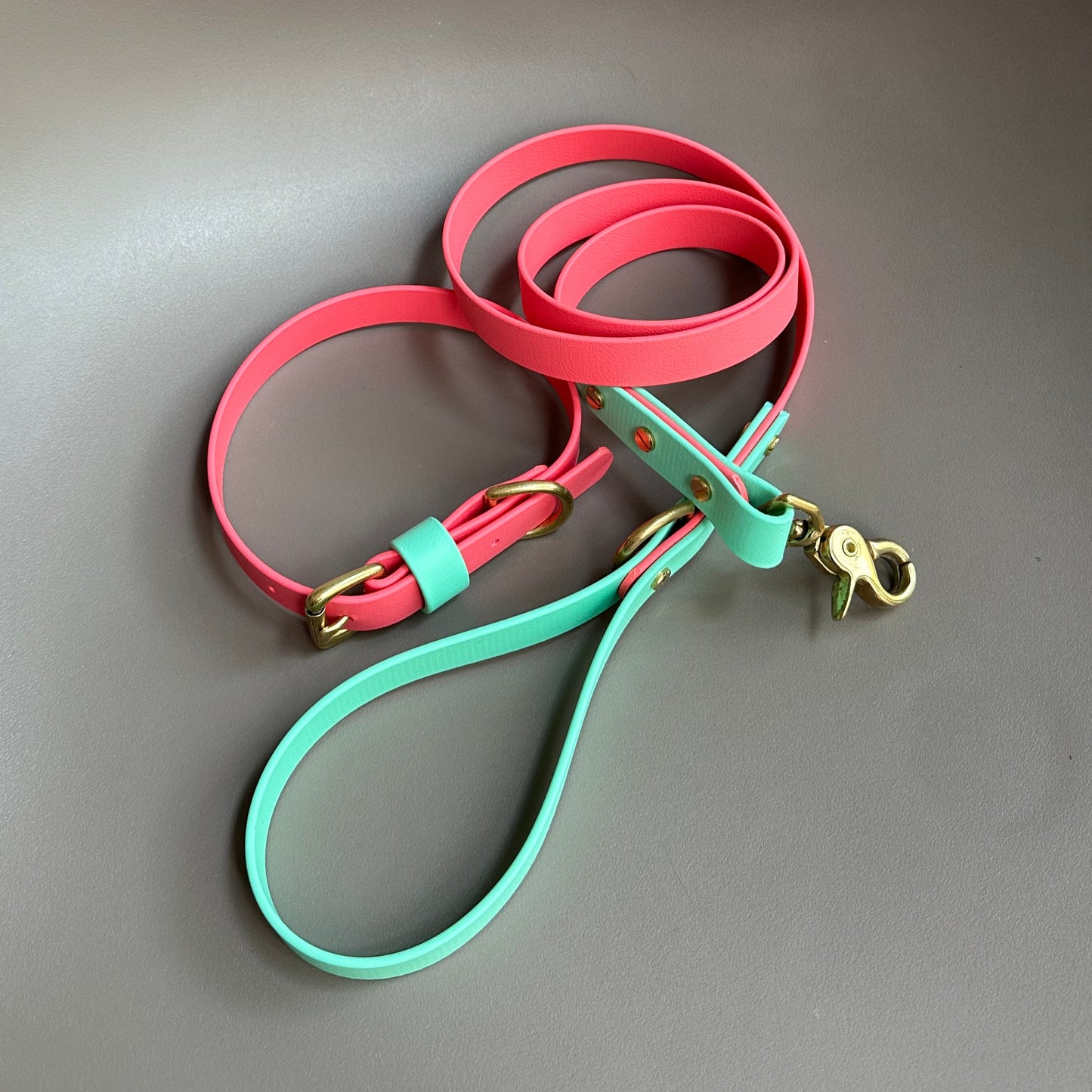 Coral Tide Colourblock BioThane® Lead