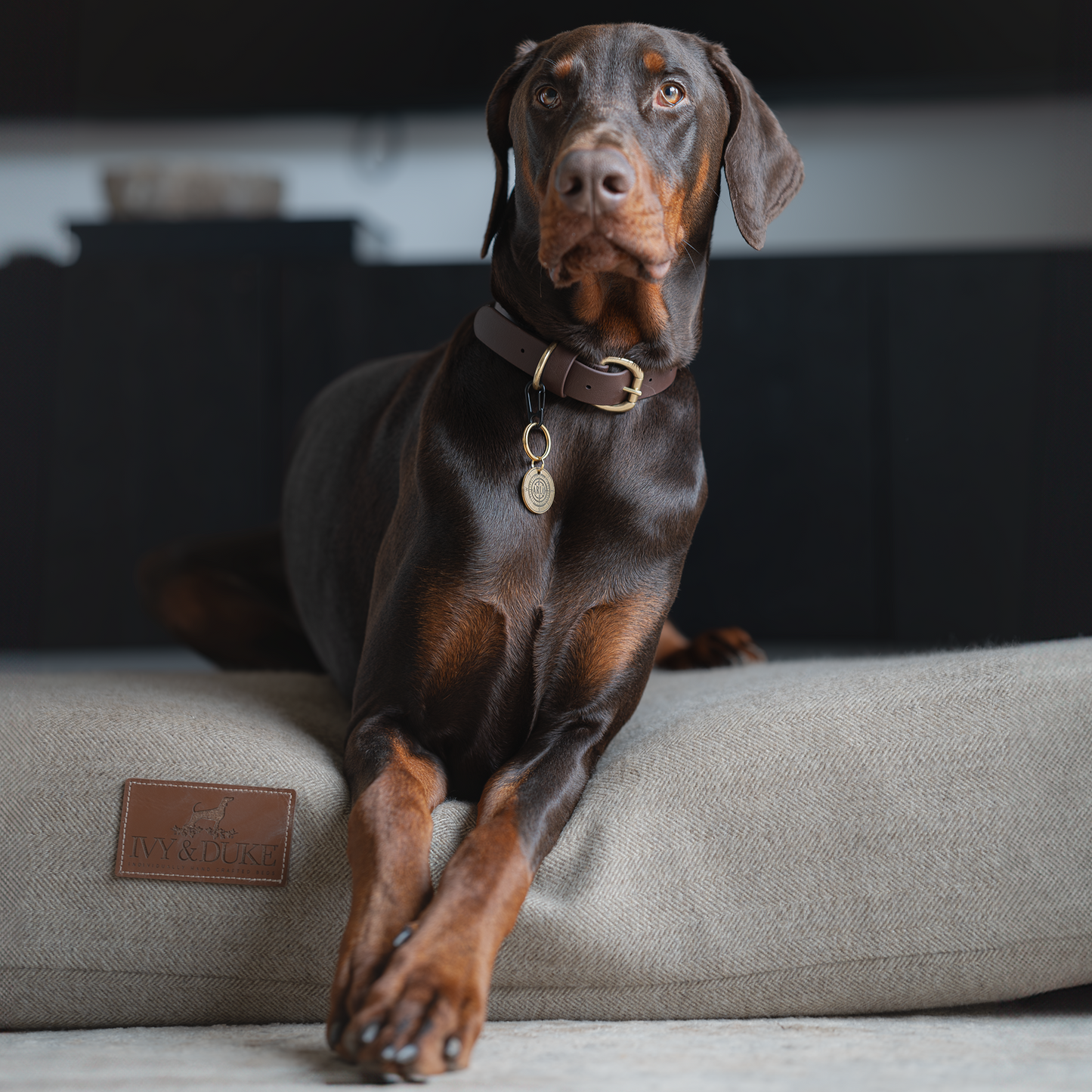 Dark Brown BioThane® Collar