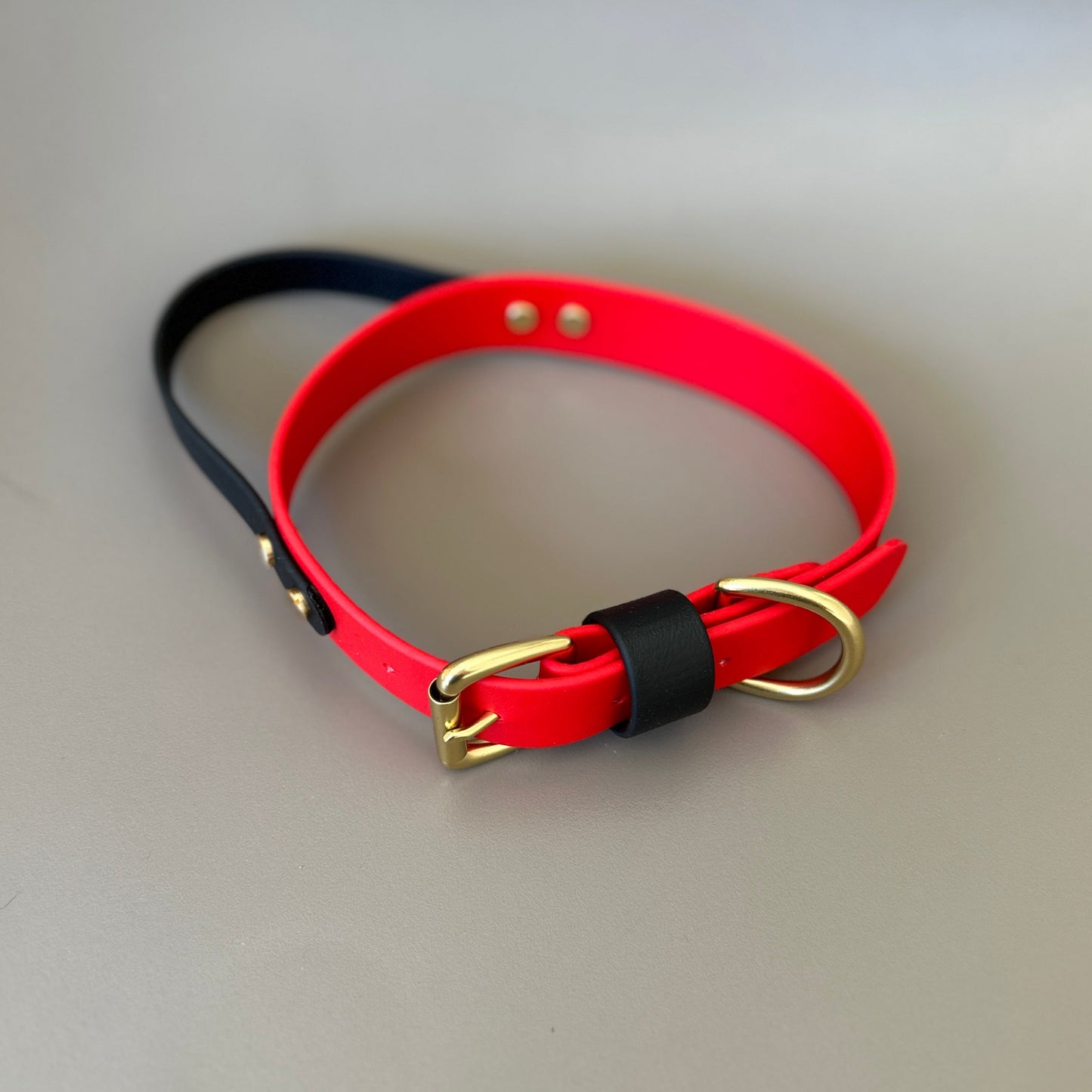 BioThane® Grab Handle Collar