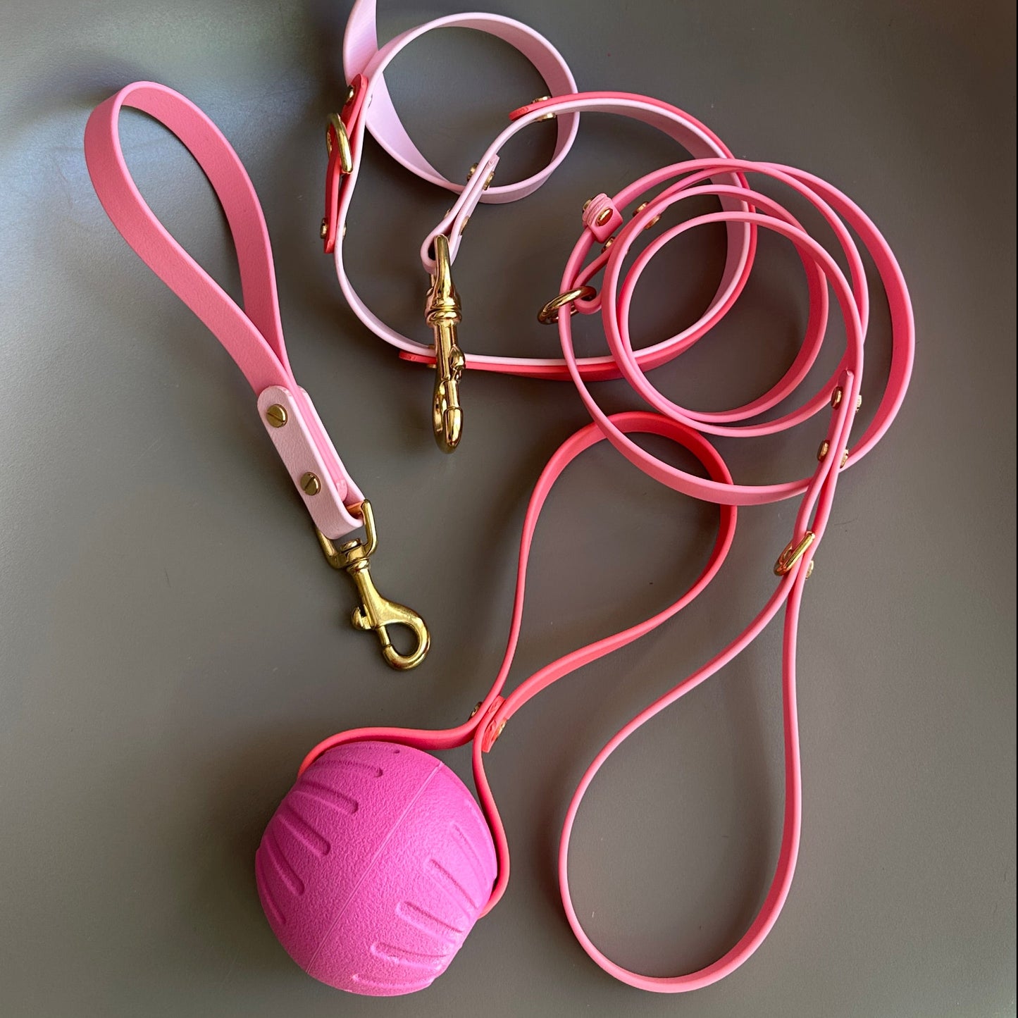 The Pinks BioThane® Grab Handle Lead