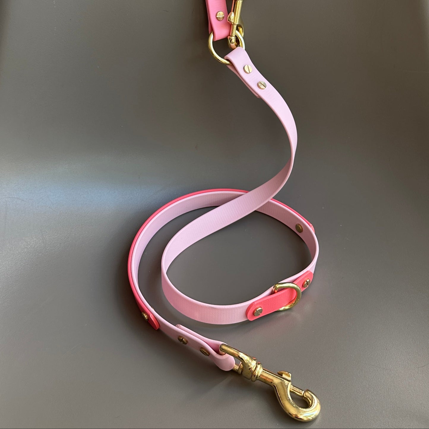 The Pinks Multiway Colourband BioThane® Lead