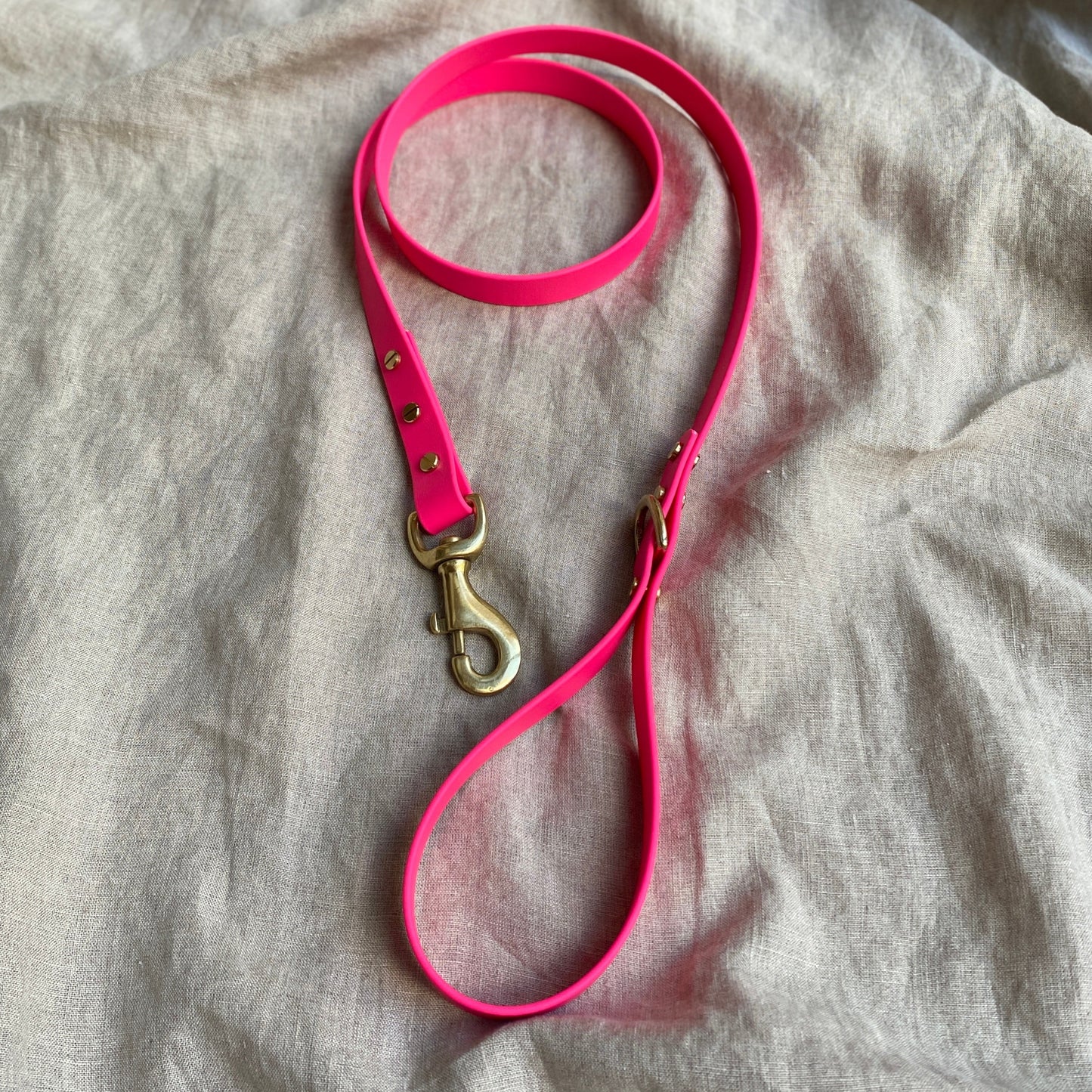 Neon Pink BioThane® Lead