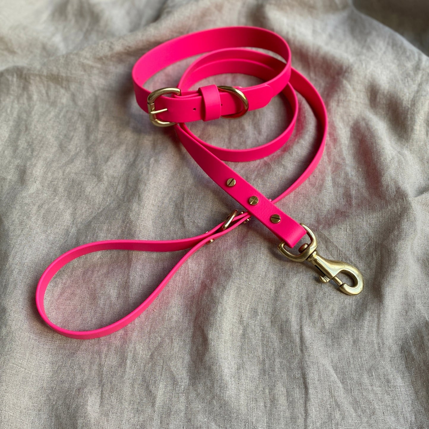 Neon Pink BioThane® Lead