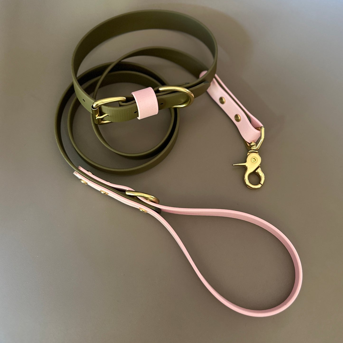 Petra Colourblock BioThane® Lead