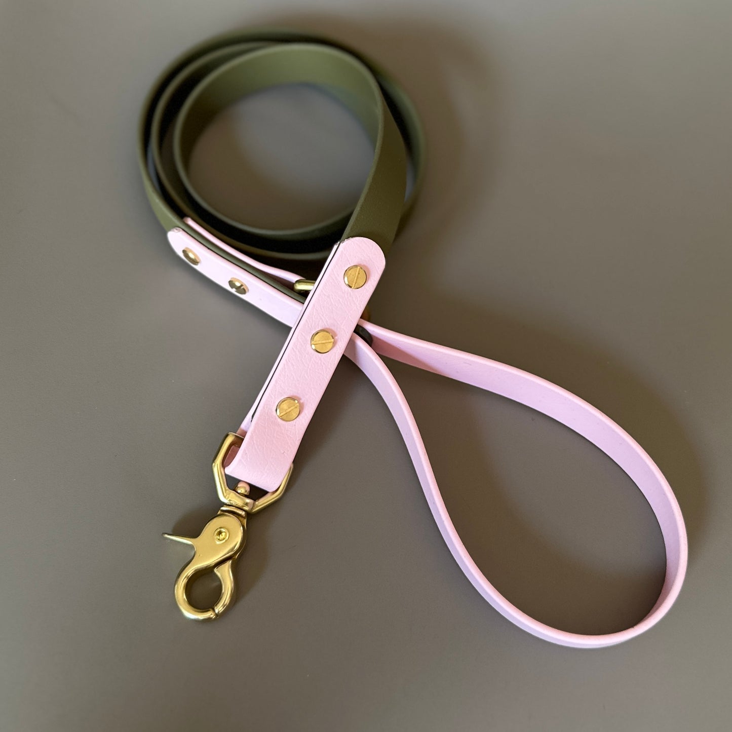 Petra Colourblock BioThane® Lead