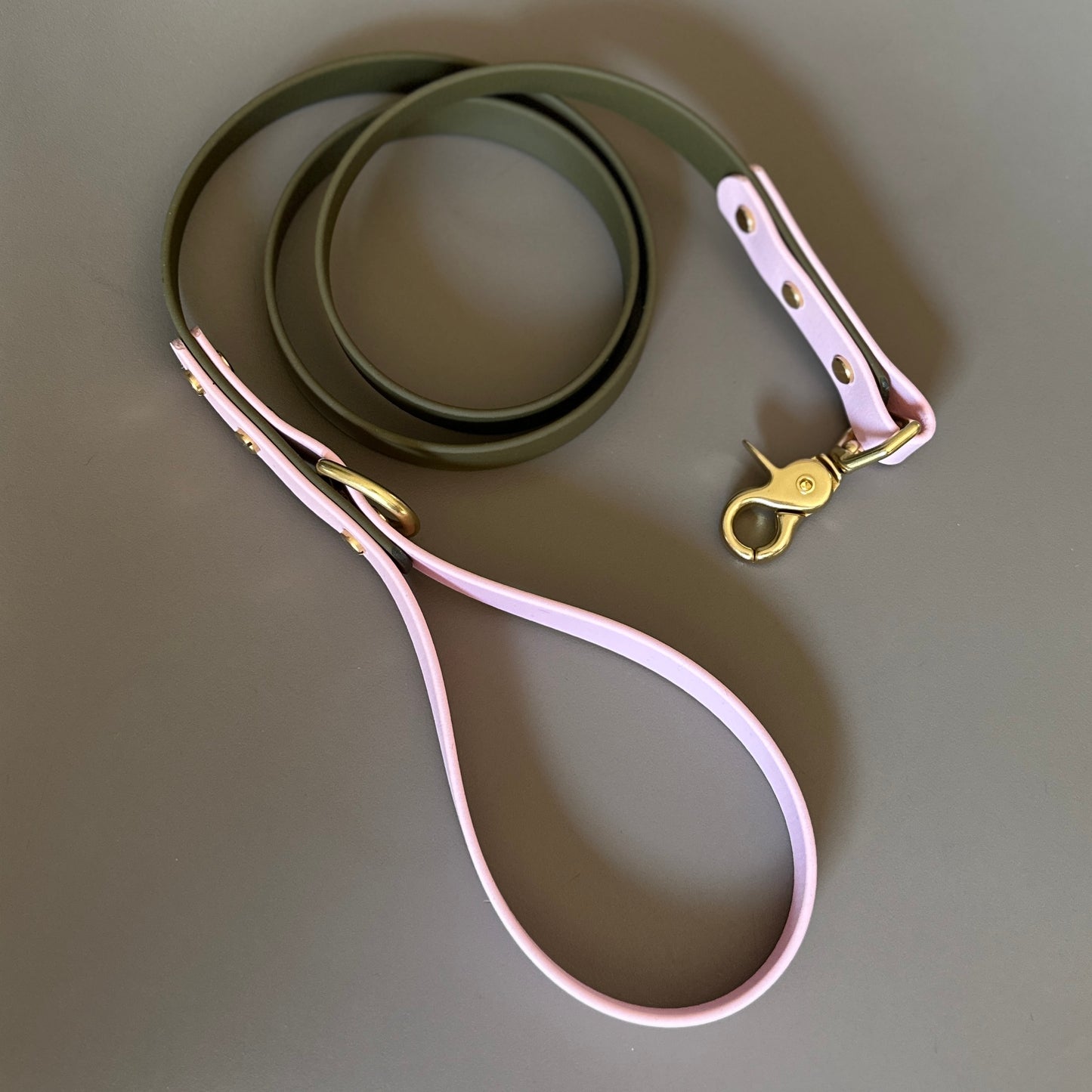 Petra Colourblock BioThane® Lead