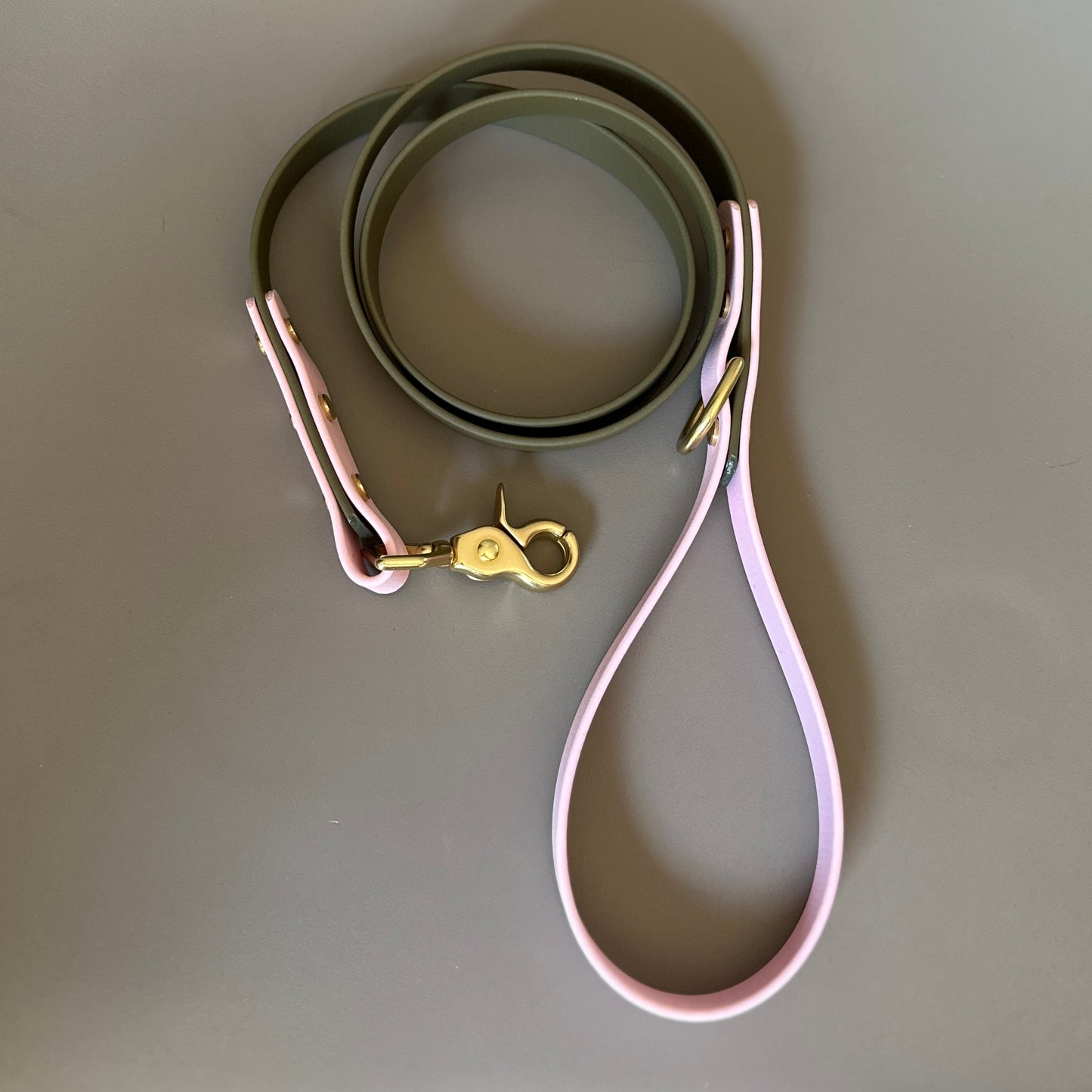 Petra Colourblock BioThane® Lead