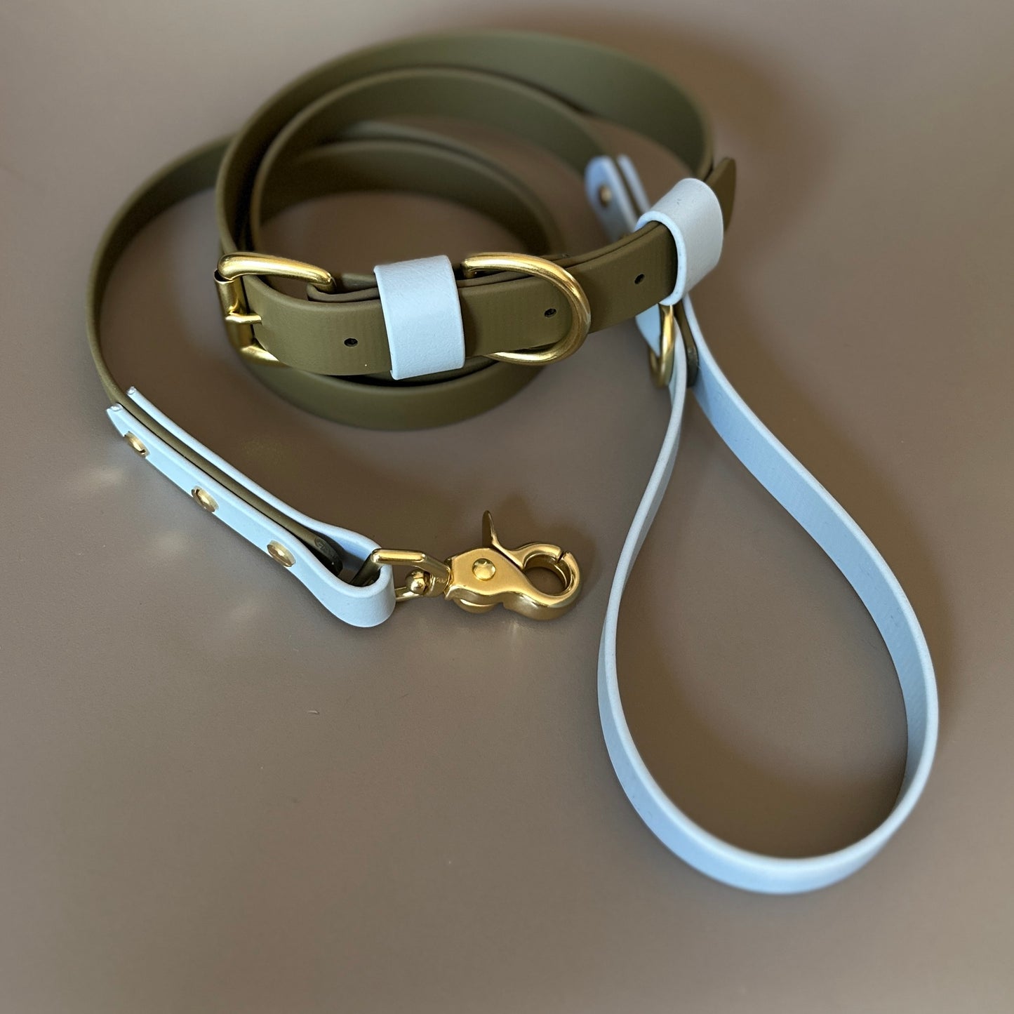 Rupert Colourblock BioThane® Collar