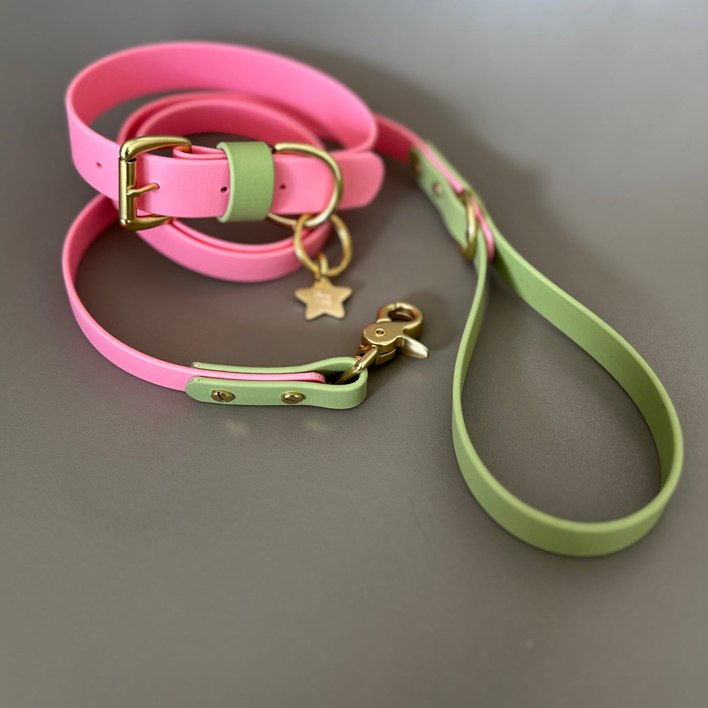 Kleo Colourblock BioThane® Lead