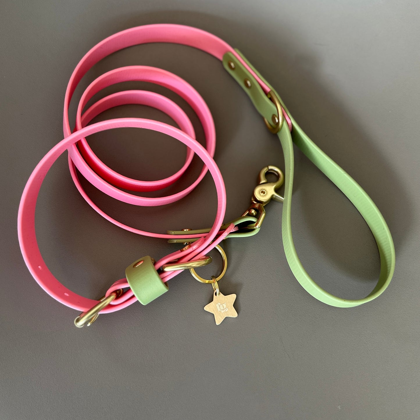 Kleo Colourblock BioThane® Collar