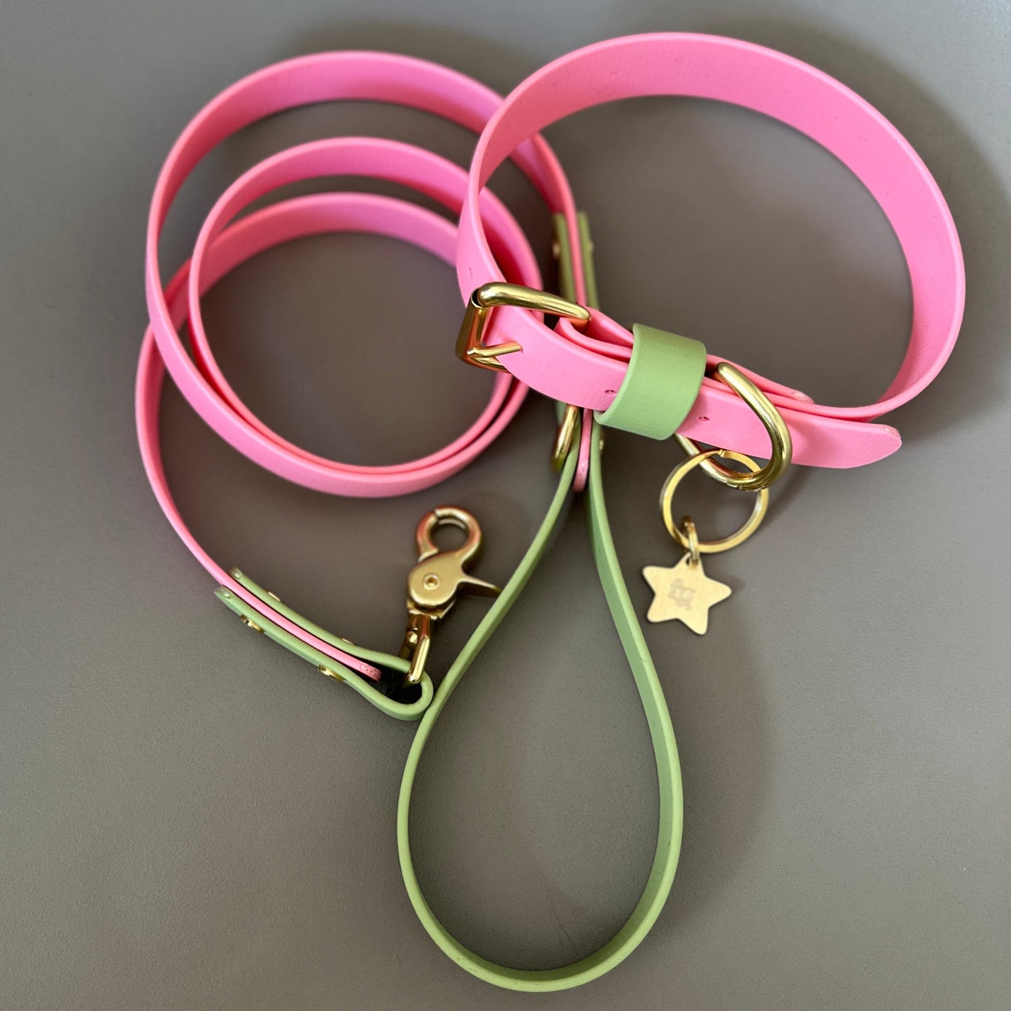 Kleo Colourblock BioThane® Collar