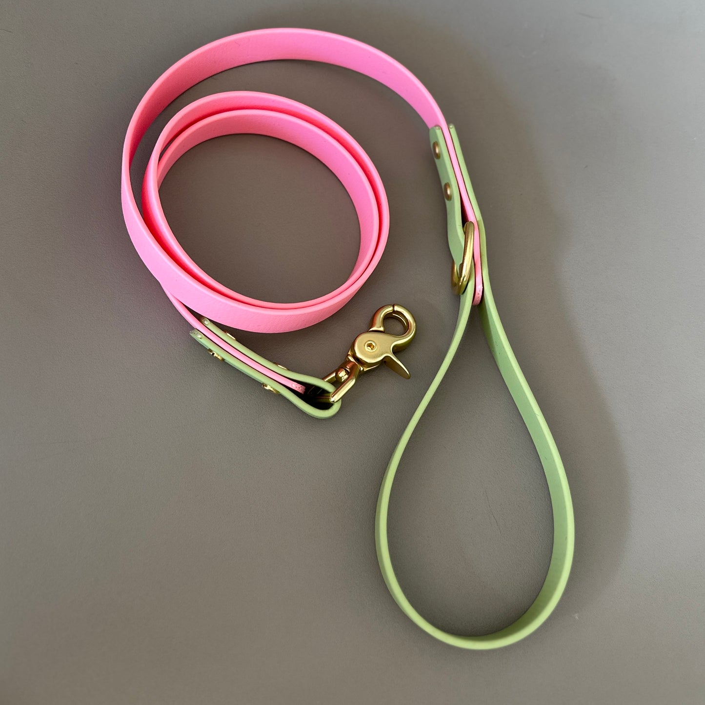 Kleo Colourblock BioThane® Lead