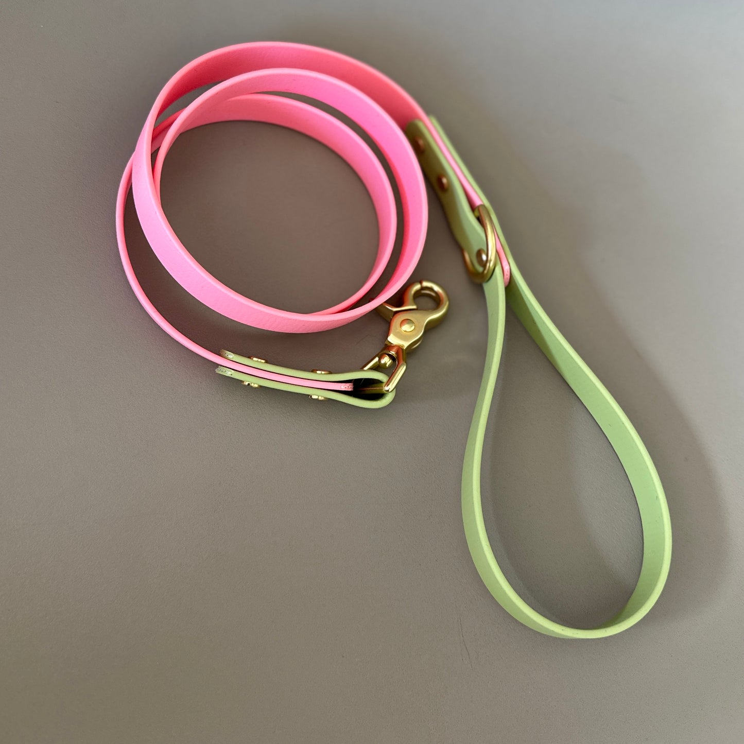 Kleo Colourblock BioThane® Lead