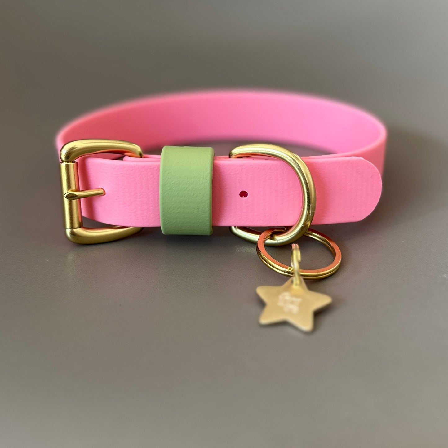 Kleo Colourblock BioThane® Collar