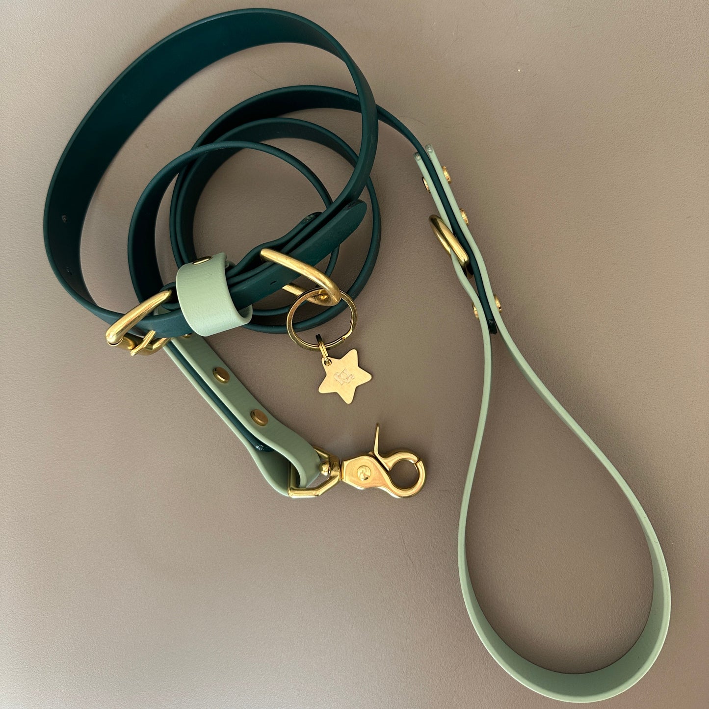 Merlin Colourblock BioThane® Collar