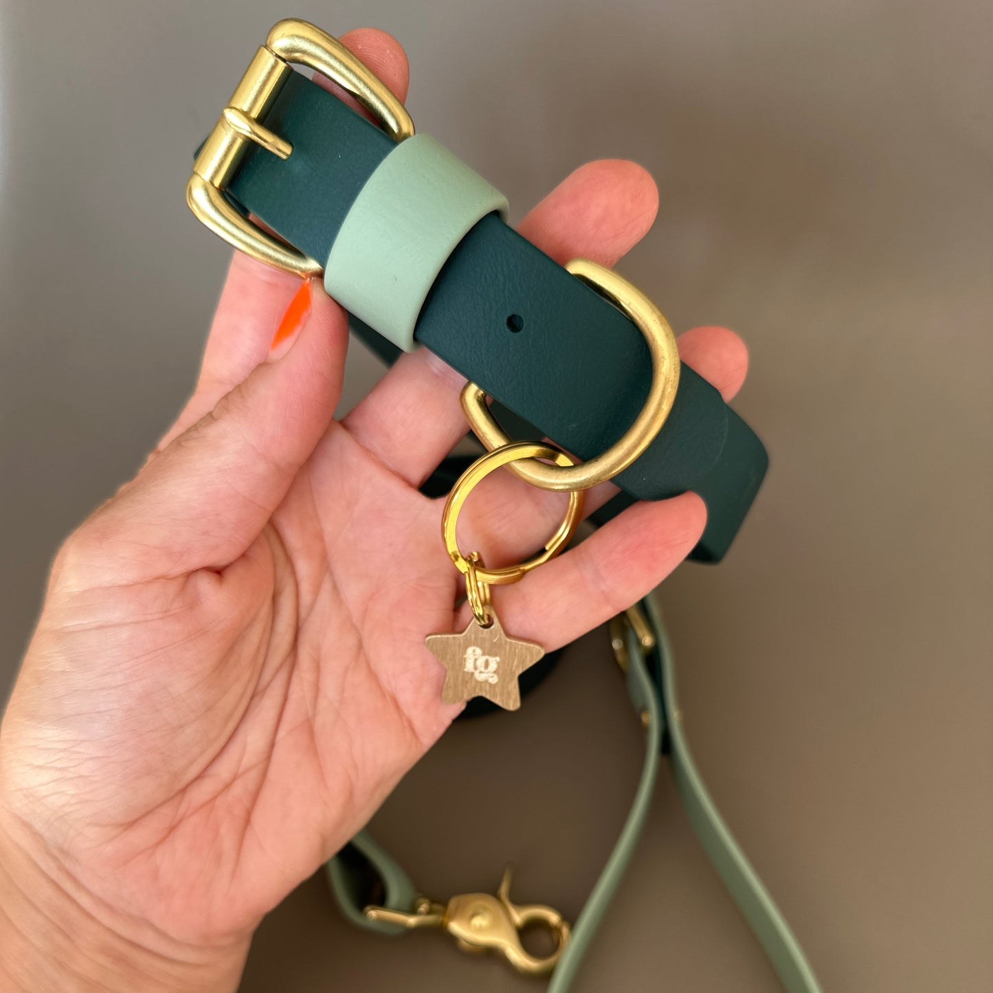 Merlin Colourblock BioThane® Collar
