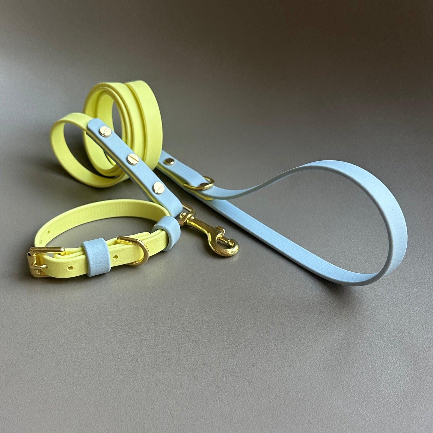Rory Colourblock BioThane® Collar