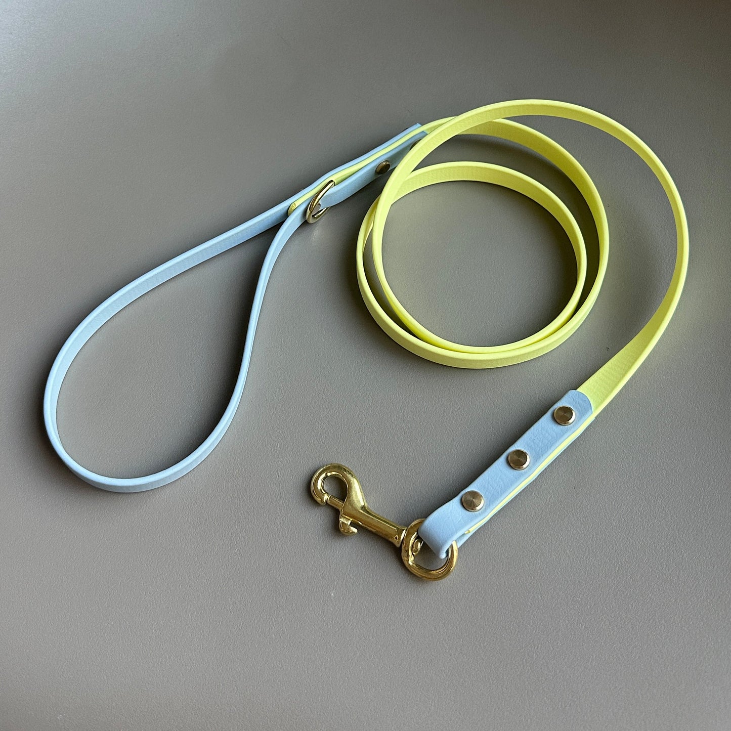 BioThane® 12mm Skinny Lead
