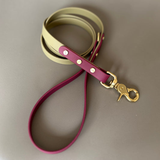 Mavis Colourblock BioThane® Lead