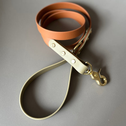 Bark & Vibe X Franks Goods BioThane® Colourblock Lead