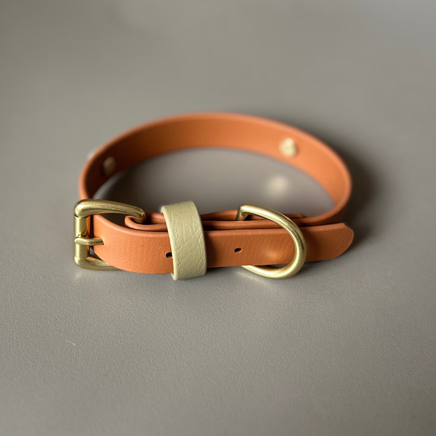 Bark & Vibe X Franks Goods BioThane® Colourband Collar