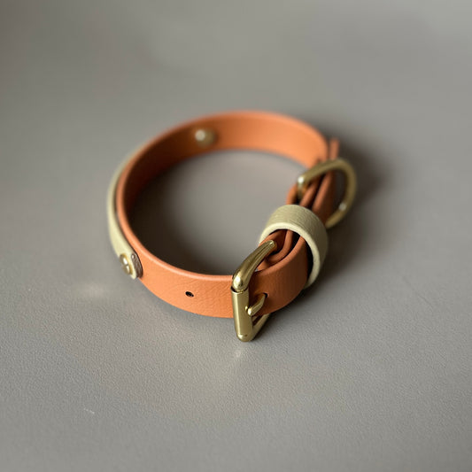 Bark & Vibe X Franks Goods BioThane® Colourband Collar