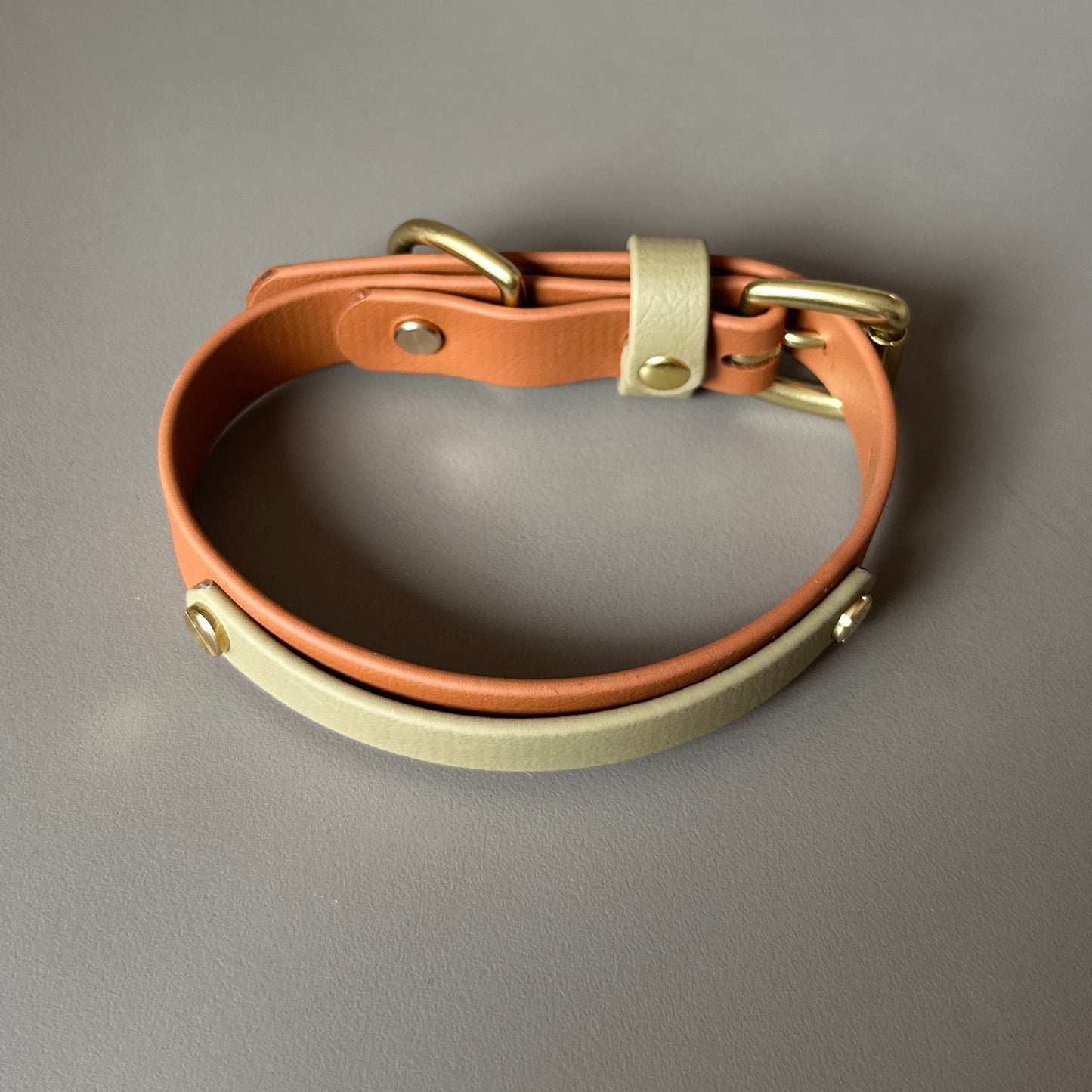 Bark & Vibe X Franks Goods BioThane® Colourband Collar