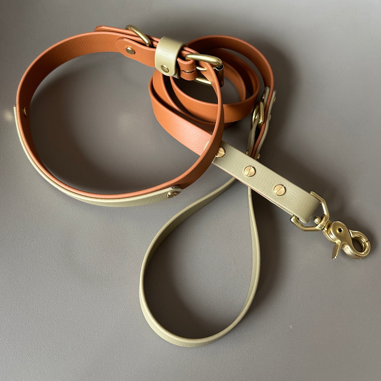 Bark & Vibe X Franks Goods BioThane® Colourband Collar