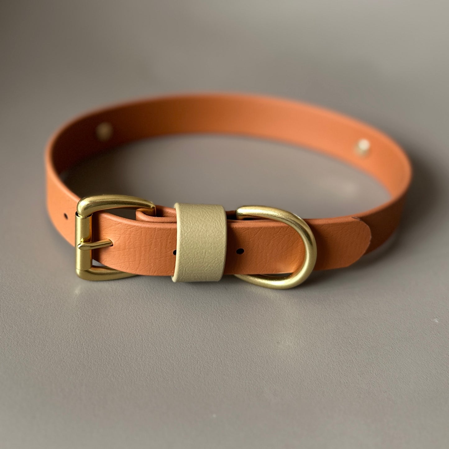 Bark & Vibe X Franks Goods BioThane® Colourband Collar