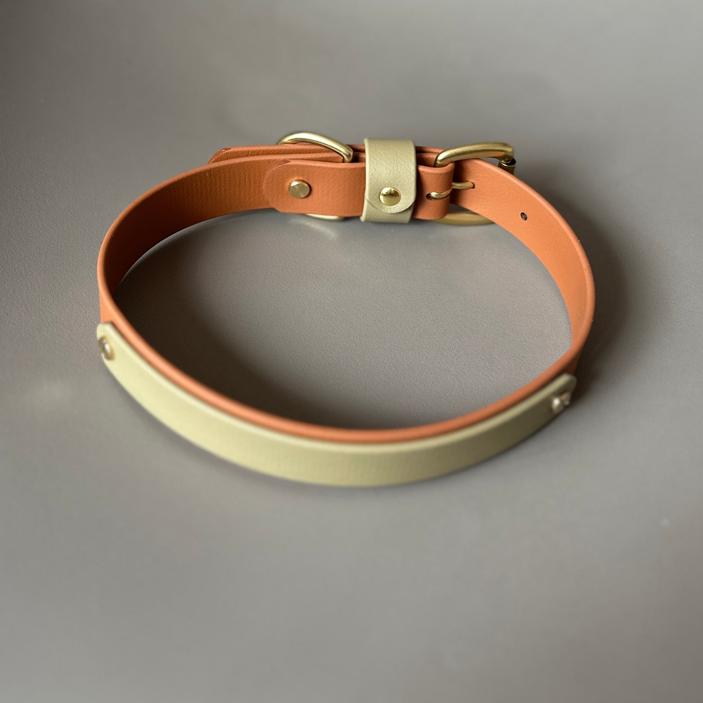 Bark & Vibe X Franks Goods BioThane® Colourband Collar