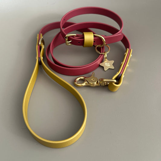 Carebear Colourblock BioThane® Collar