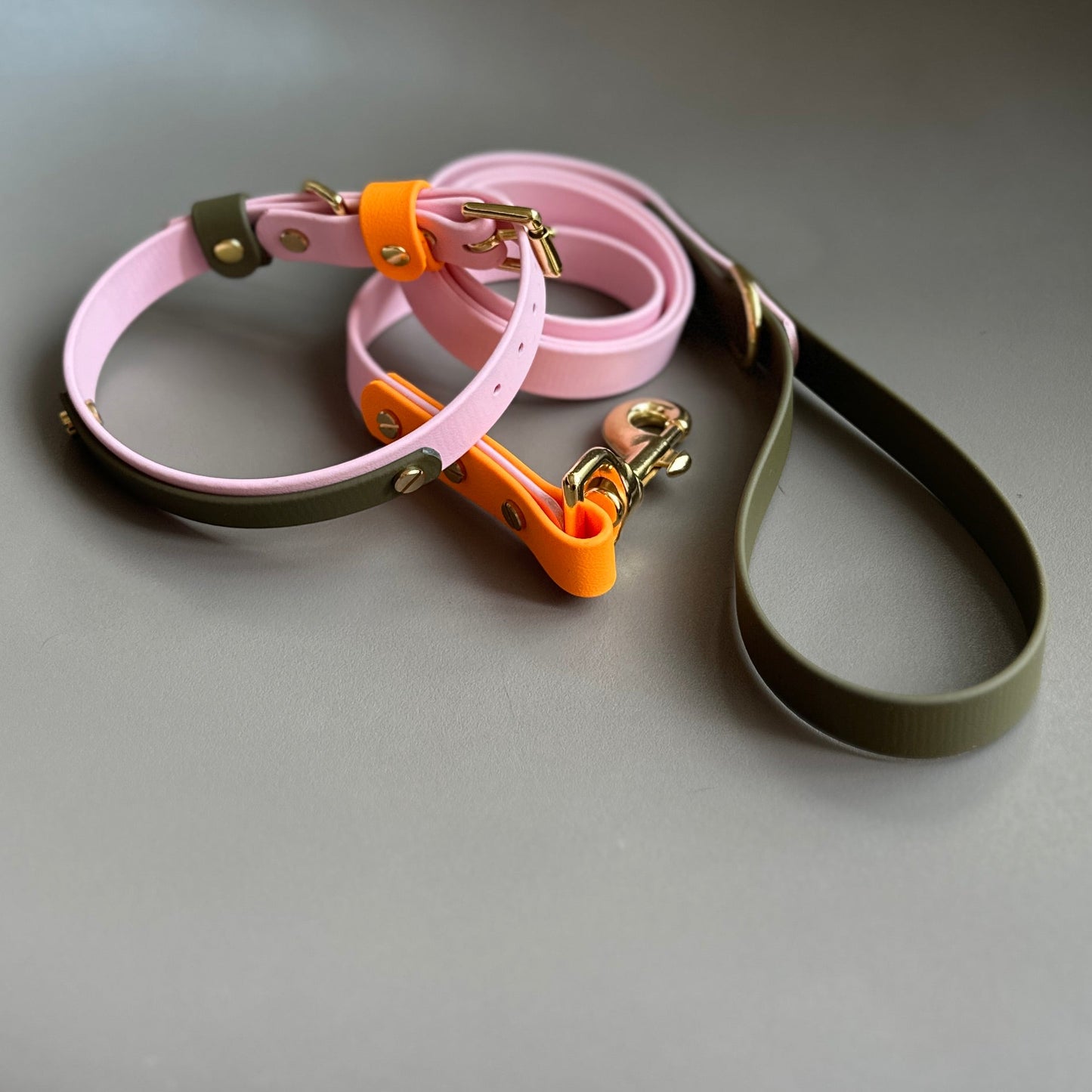 Marmalade Colourblock BioThane® Lead