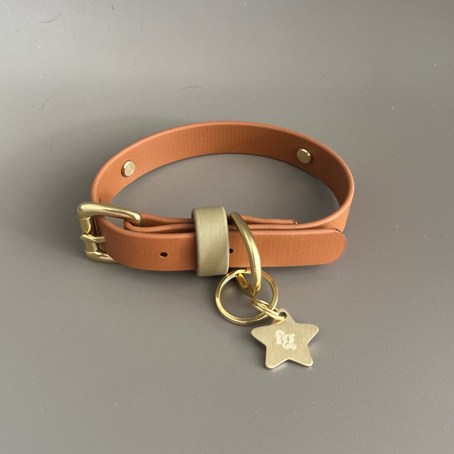 Bark & Vibe X Franks Goods BioThane® Colourband Collar