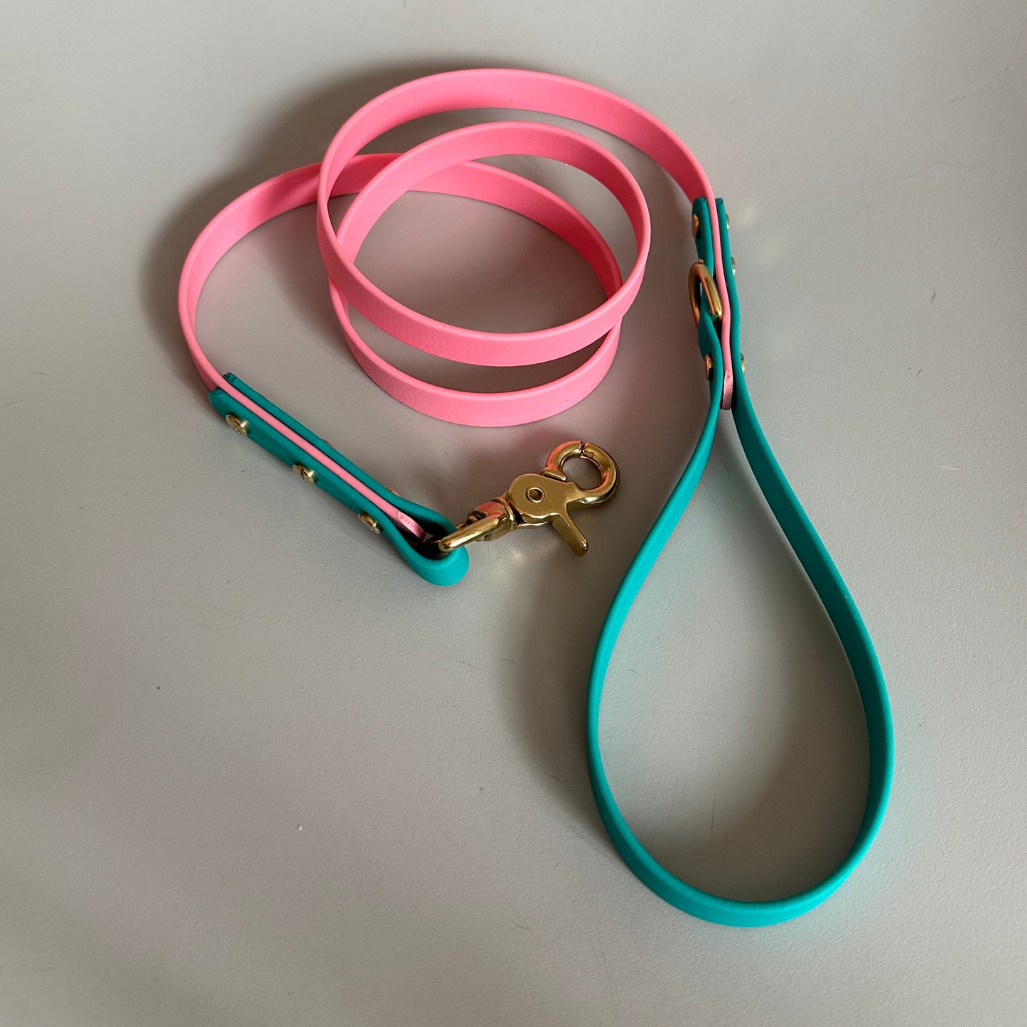 Babble Pink Colourblock BioThane® Lead