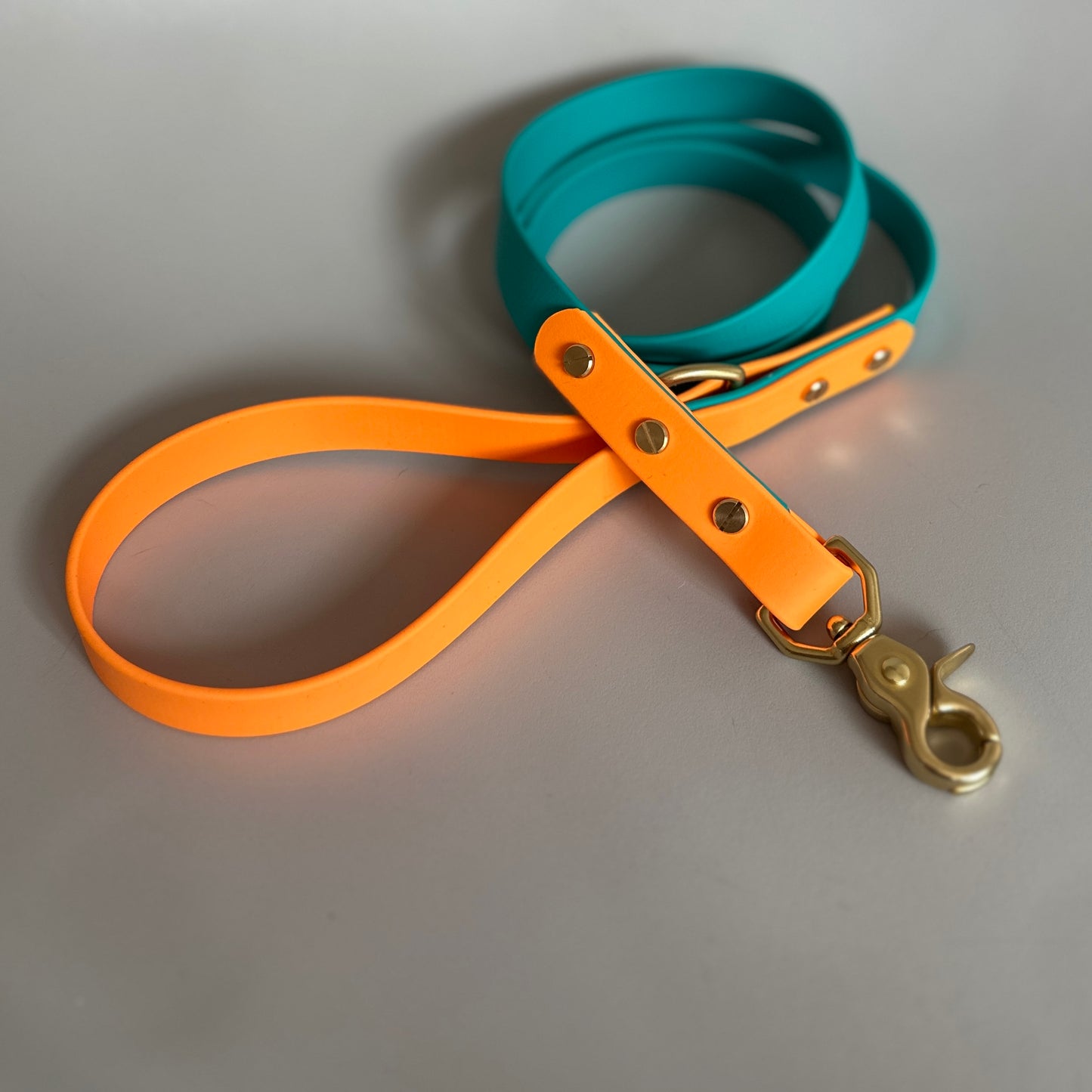 Babble Turquoise Colourblock BioThane® Lead